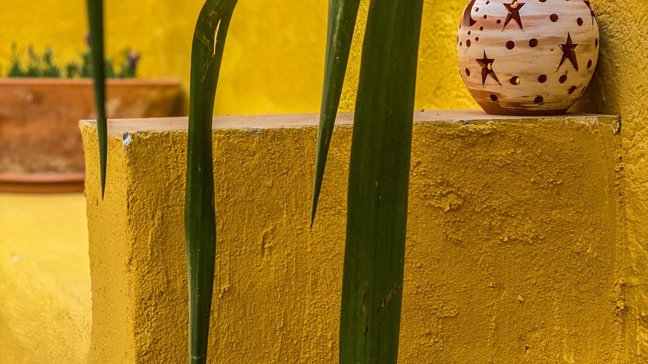 Photo of Outdoor in Baza