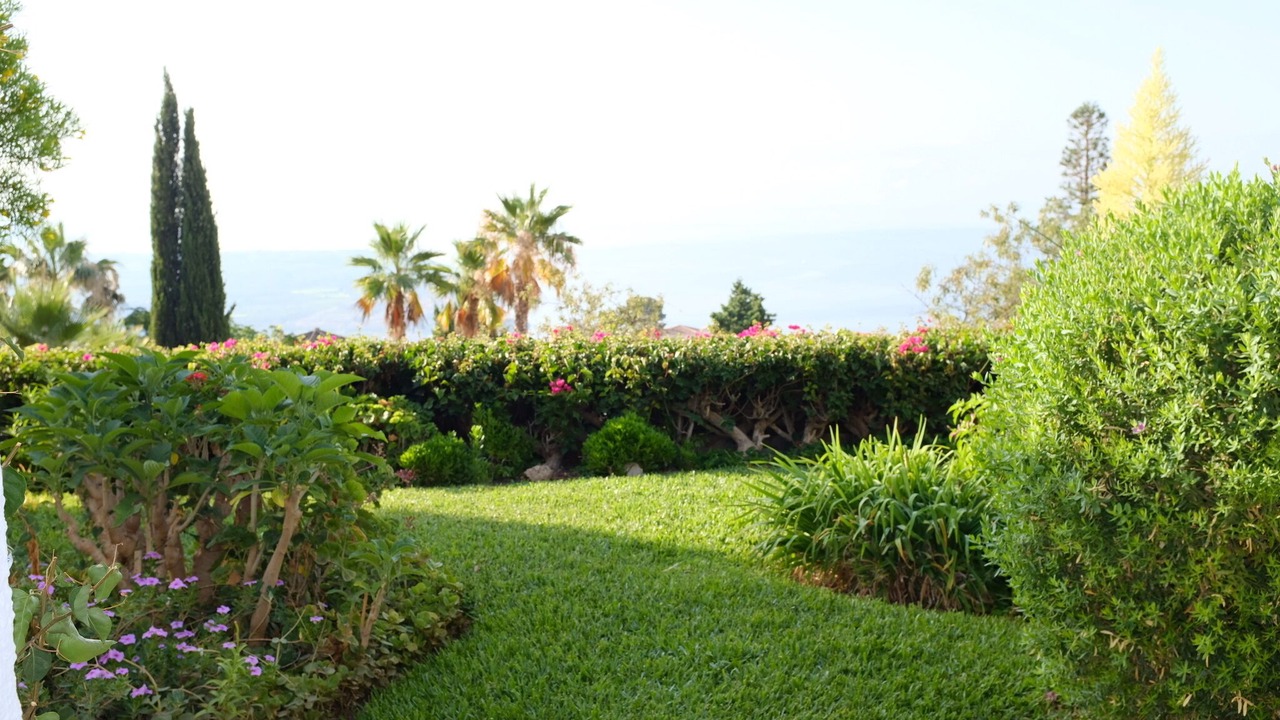 Photo of Outdoor in Salobrena