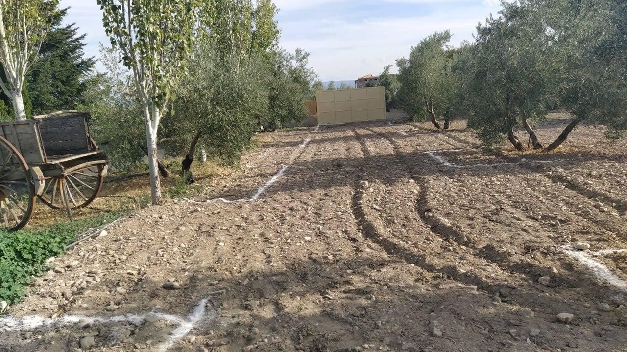 Photo of Outdoor in Caniles