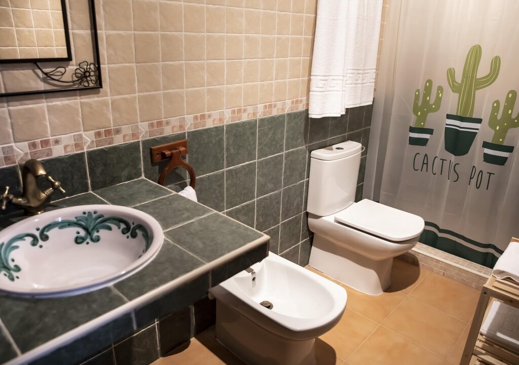 Photo of Bathroom in Carataunas