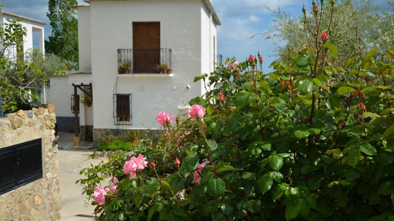 Photo of Outdoor in Nechite