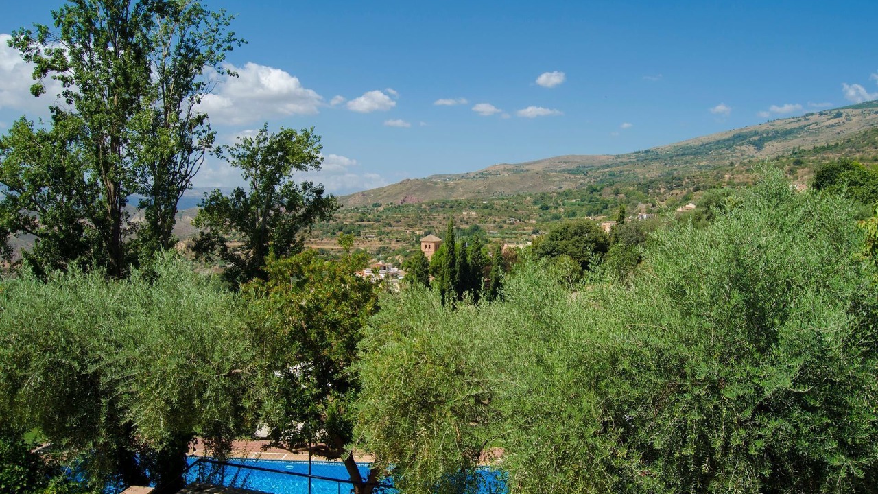 Photo of Others in Nechite