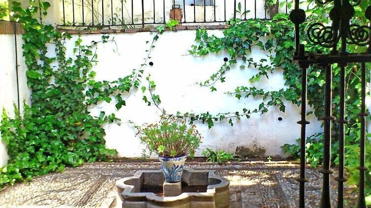 Photo of Outdoor in San Pedro