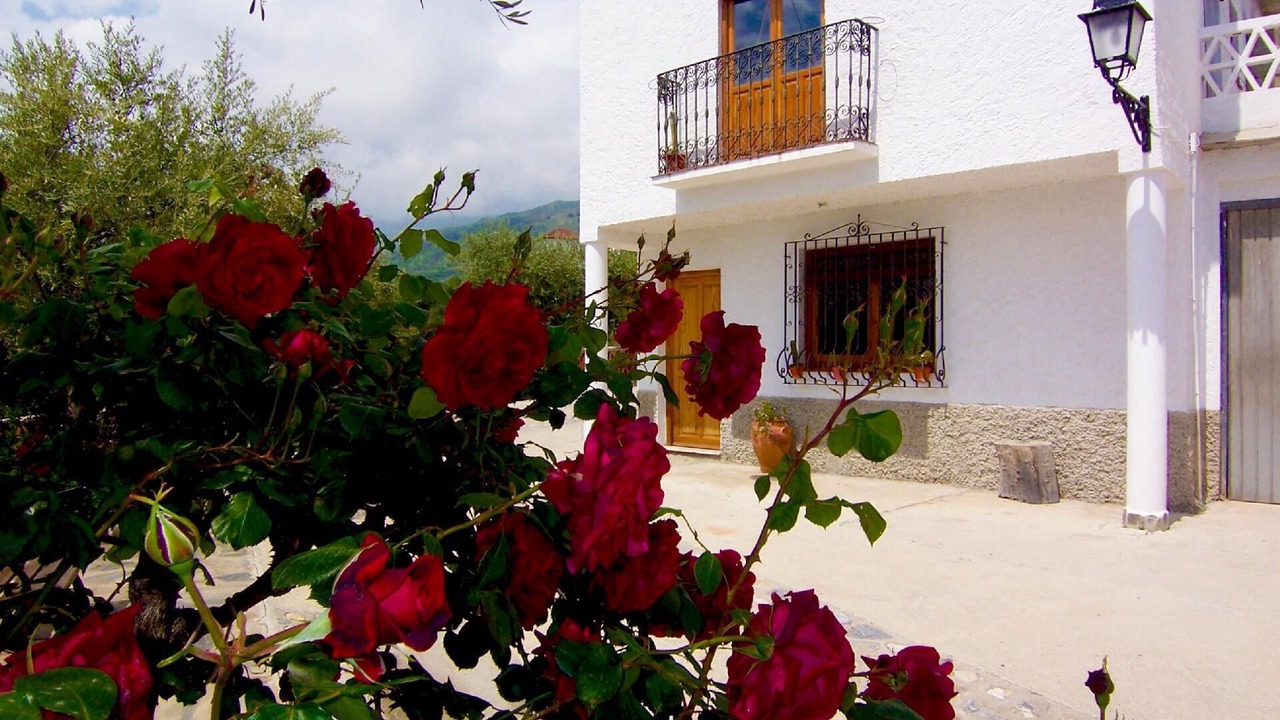 Photo of Outdoor in Nechite