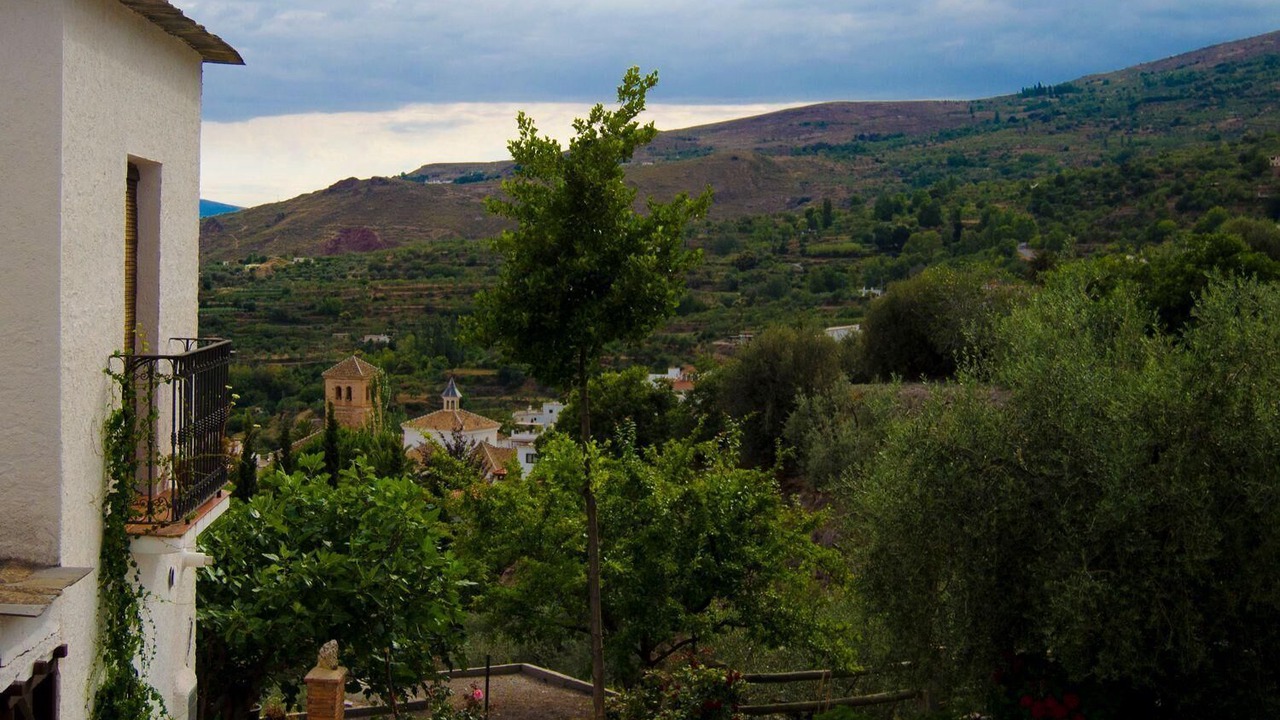Photo of Others in Nechite