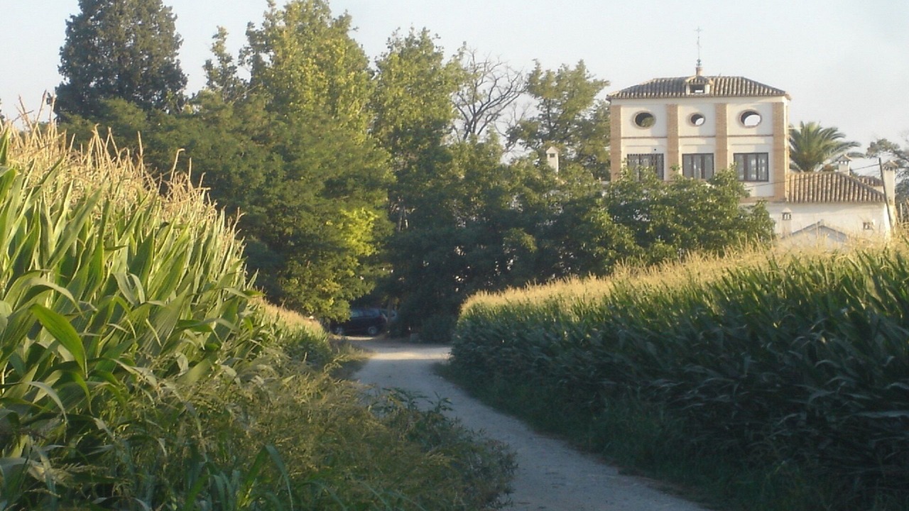 Photo of Outdoor in Churriana de la Vega