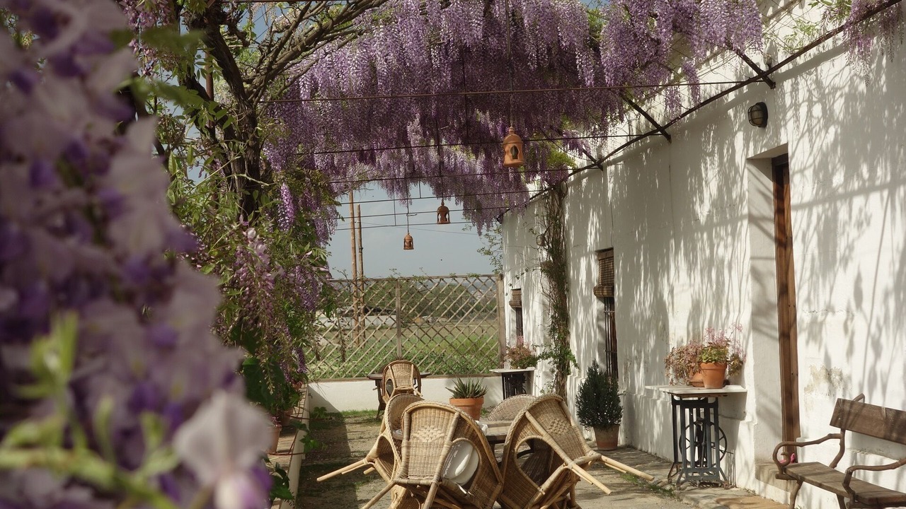 Photo of Outdoor in Churriana de la Vega