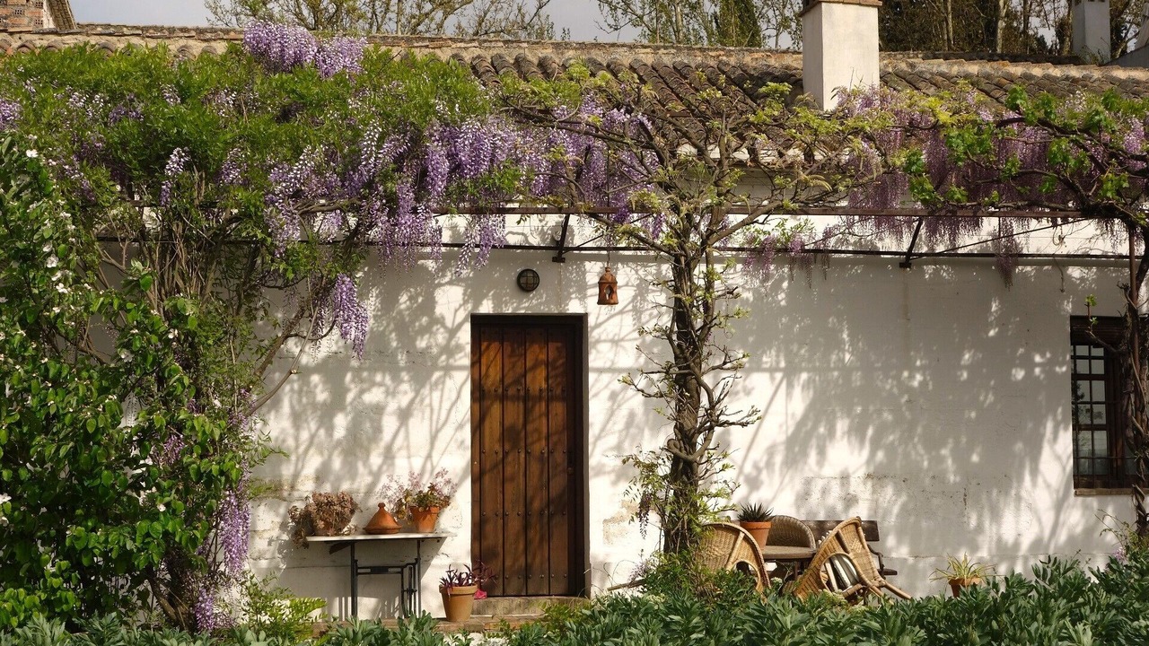 Photo of Outdoor in Churriana de la Vega