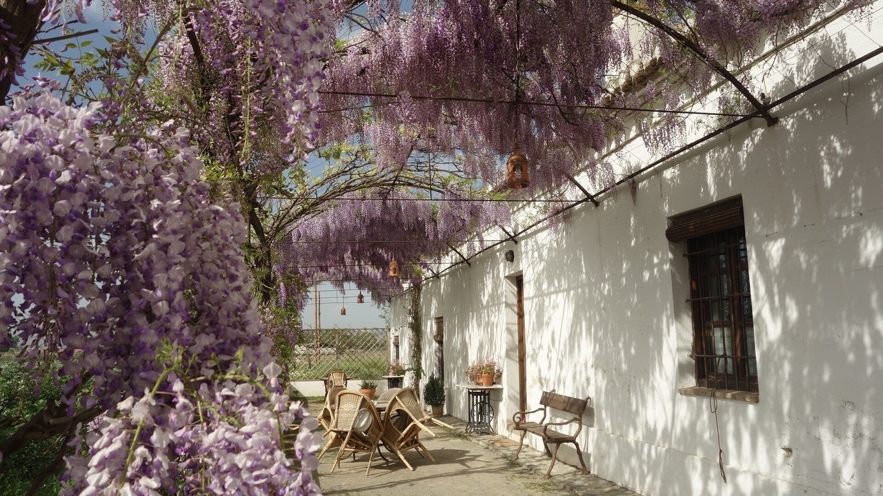 Photo of Patio Balcony in Churriana de la Vega