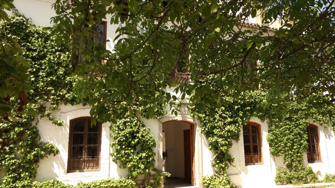 Photo of Outdoor in Churriana de la Vega