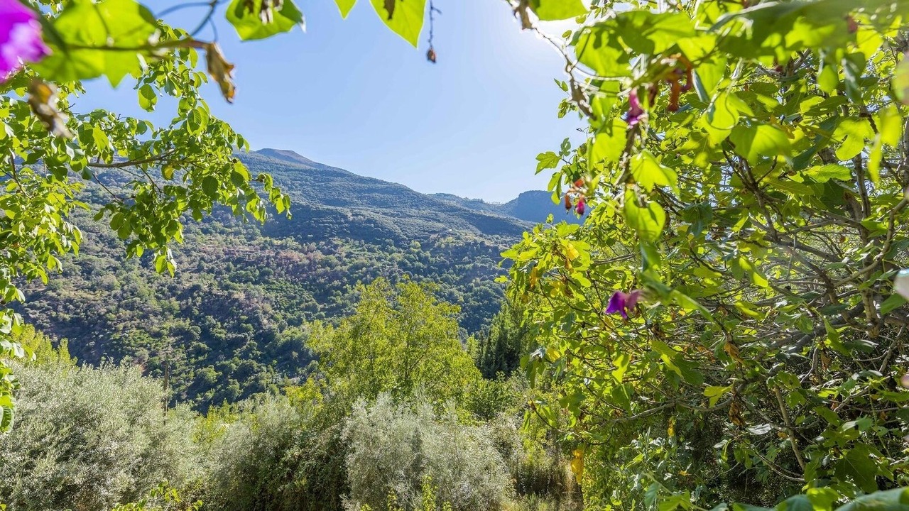 Photo of Outdoor in Guejar Sierra