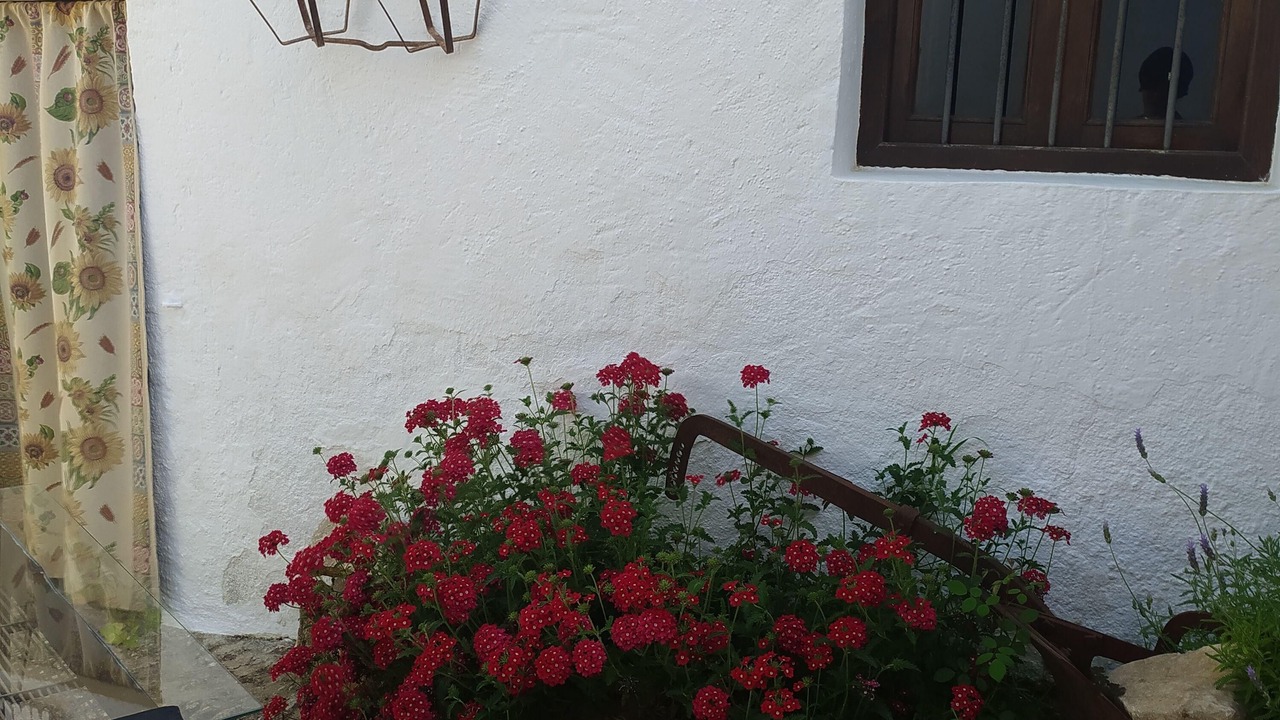 Photo of Outdoor in Fuentes de Cesna
