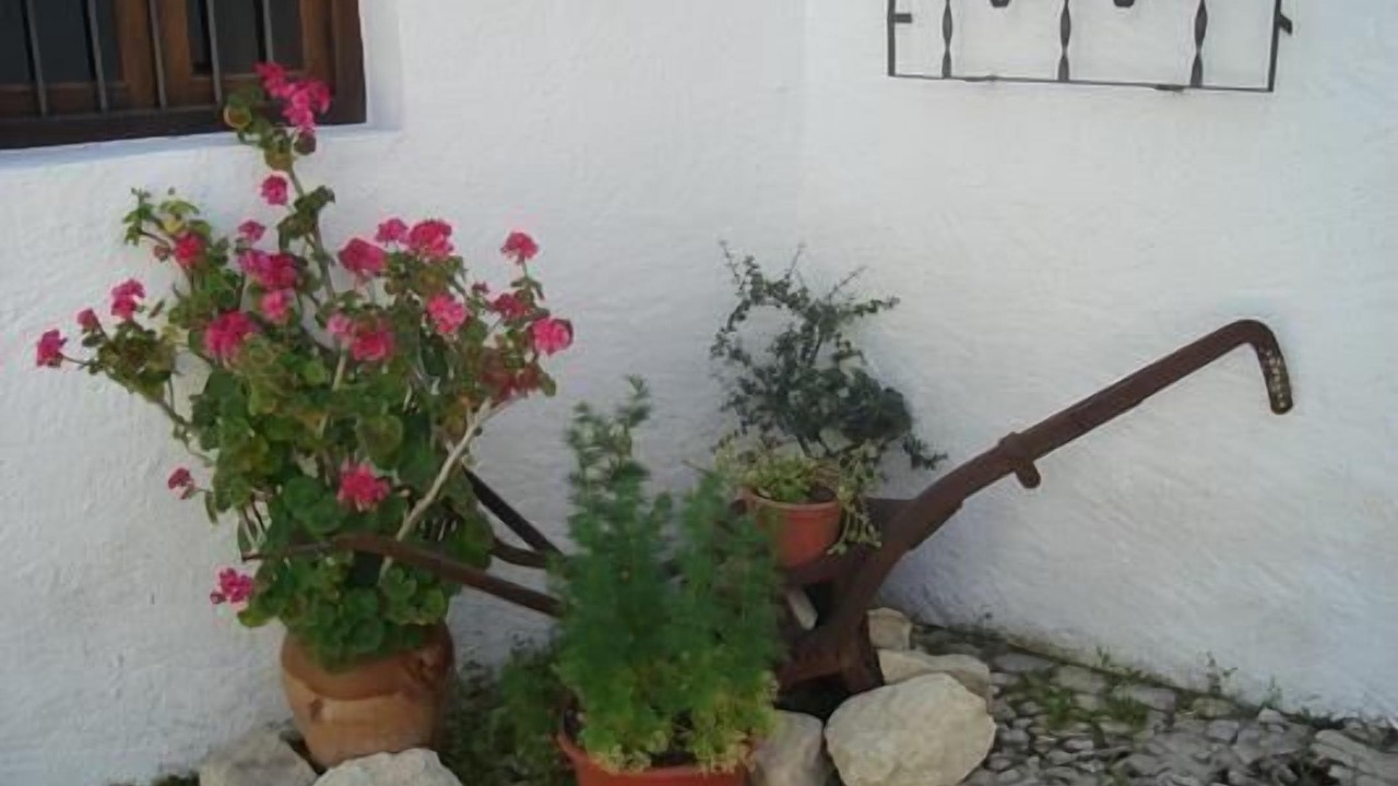 Photo of Outdoor in Fuentes de Cesna