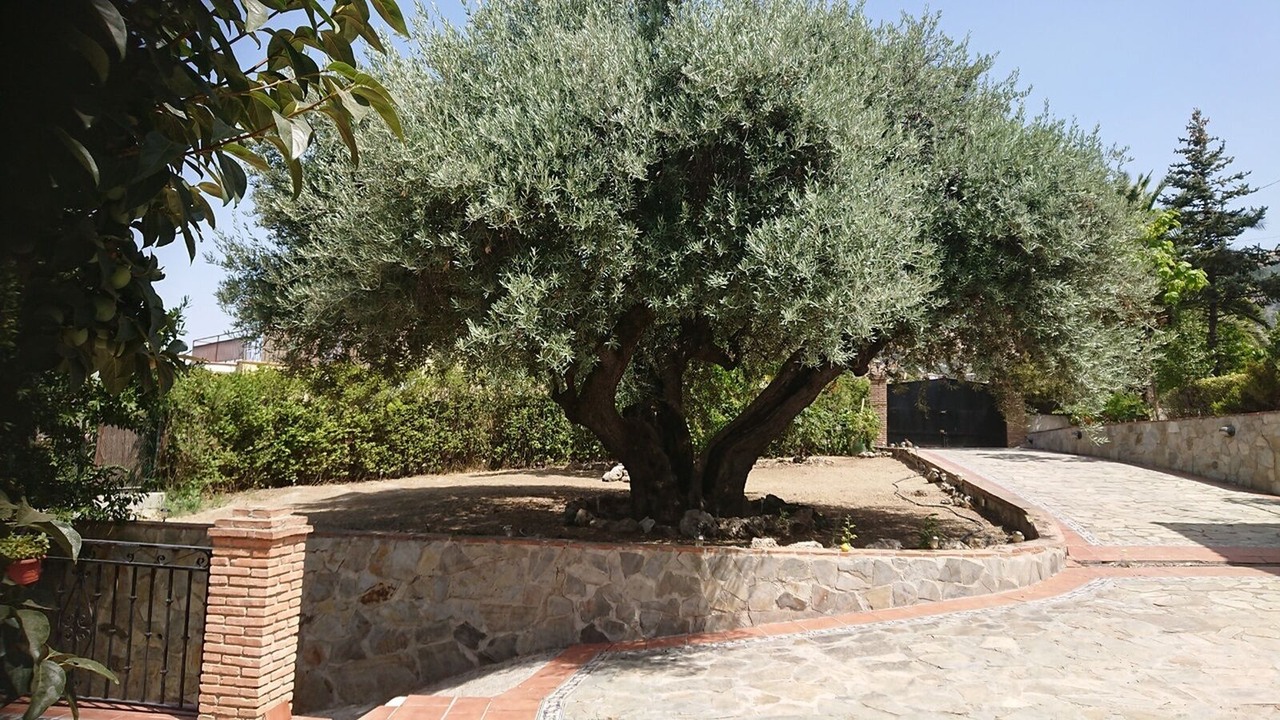 Photo of Outdoor in Alfacar