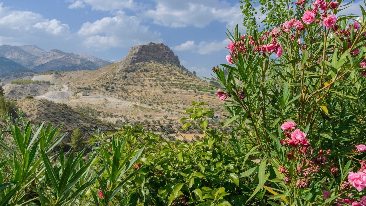 Photo of Outdoor in Castril