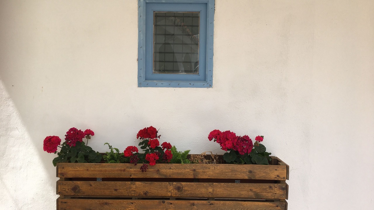 Photo of Outdoor in Rubite