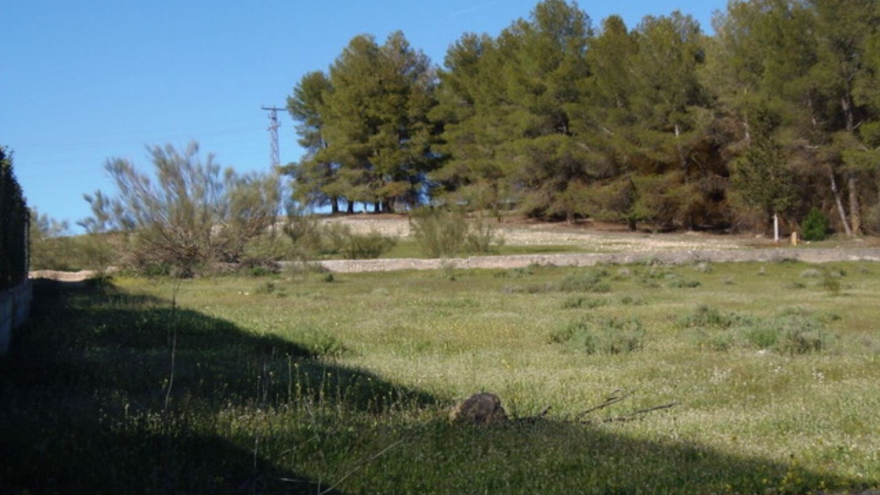 Photo of Outdoor in Arenas del Rey