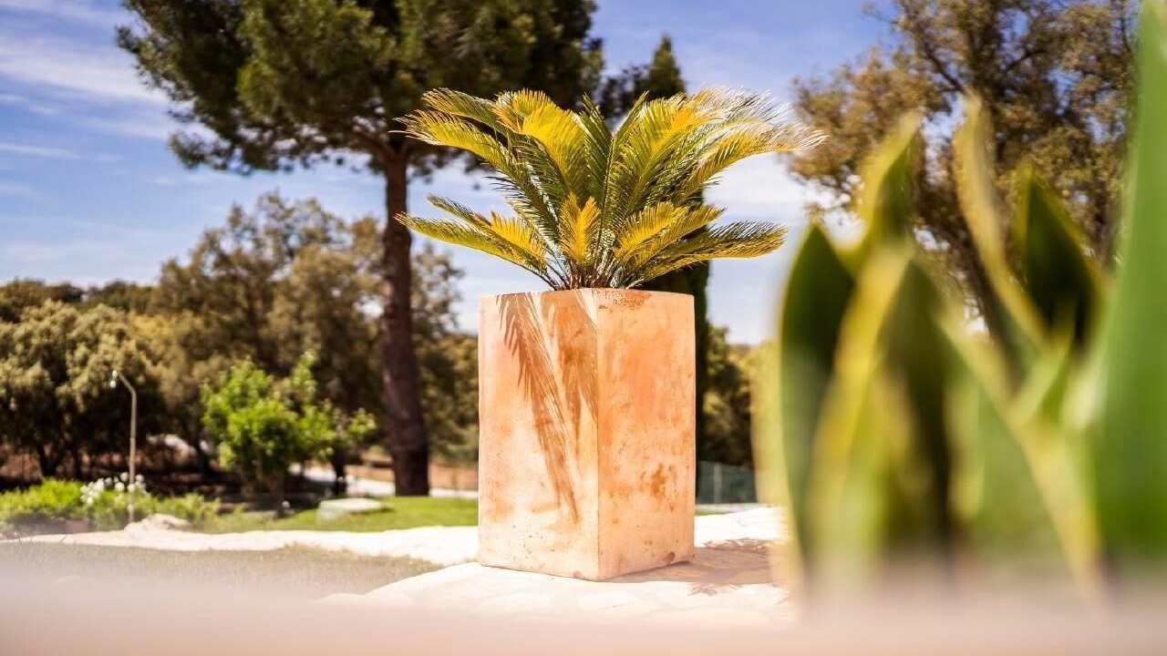 Photo of Outdoor in Alhama de Granada