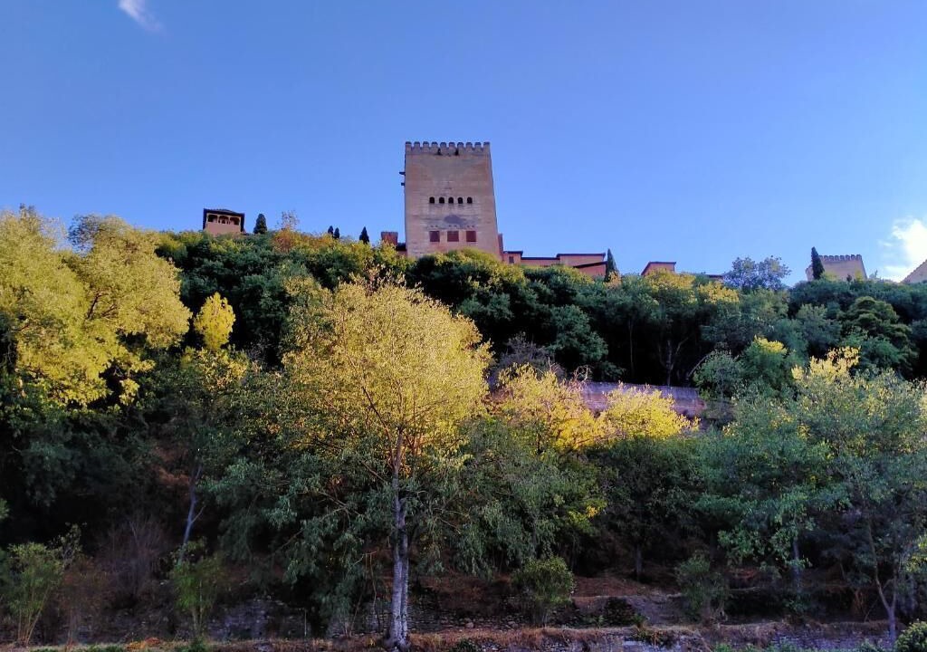 Photo of Outdoor in Zaidin