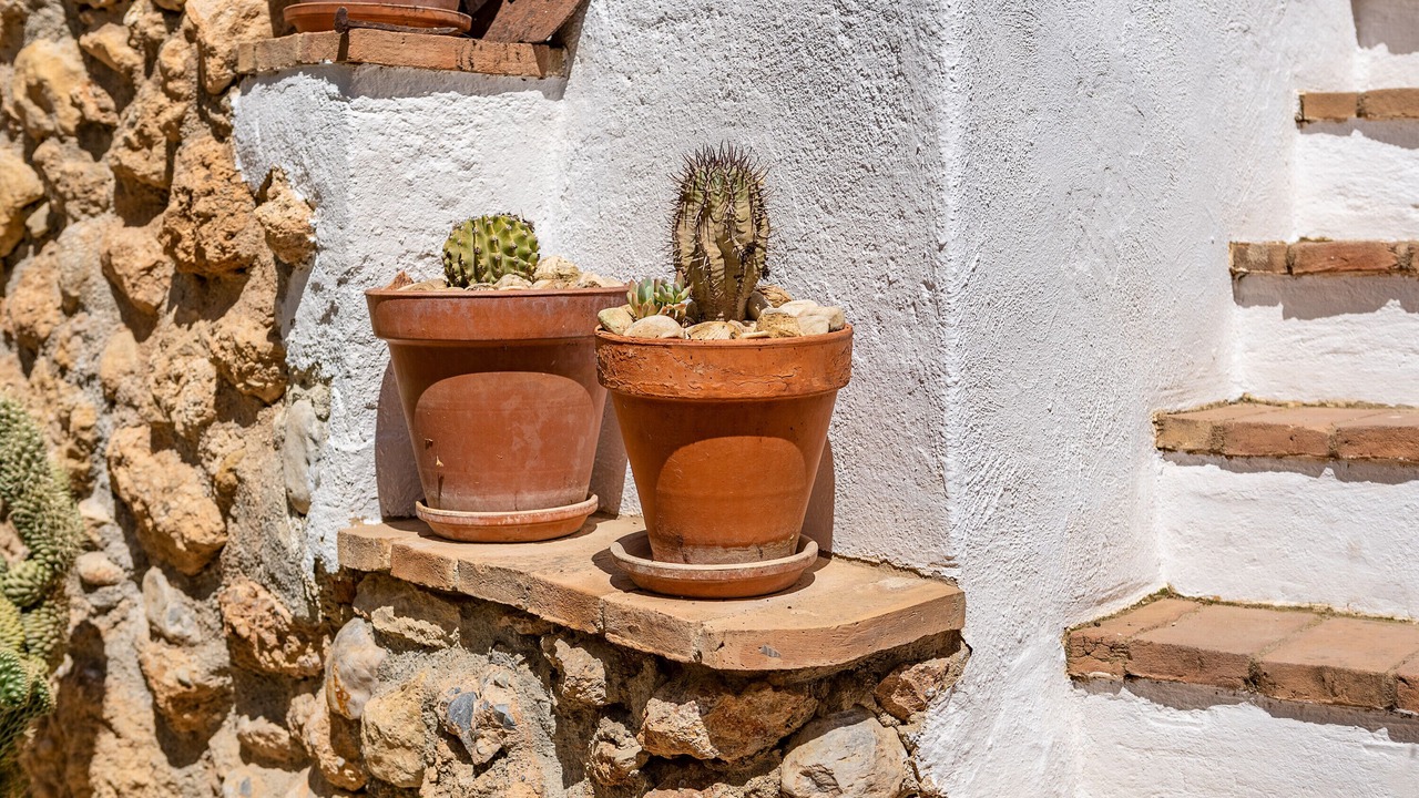 Photo of Outdoor in Albunuelas