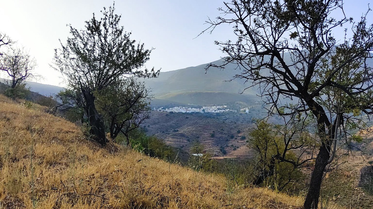 Photo of Outdoor in Castell de Ferro