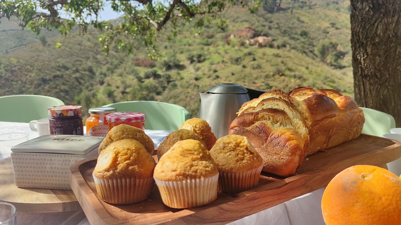 Photo of Outdoor in Castell de Ferro