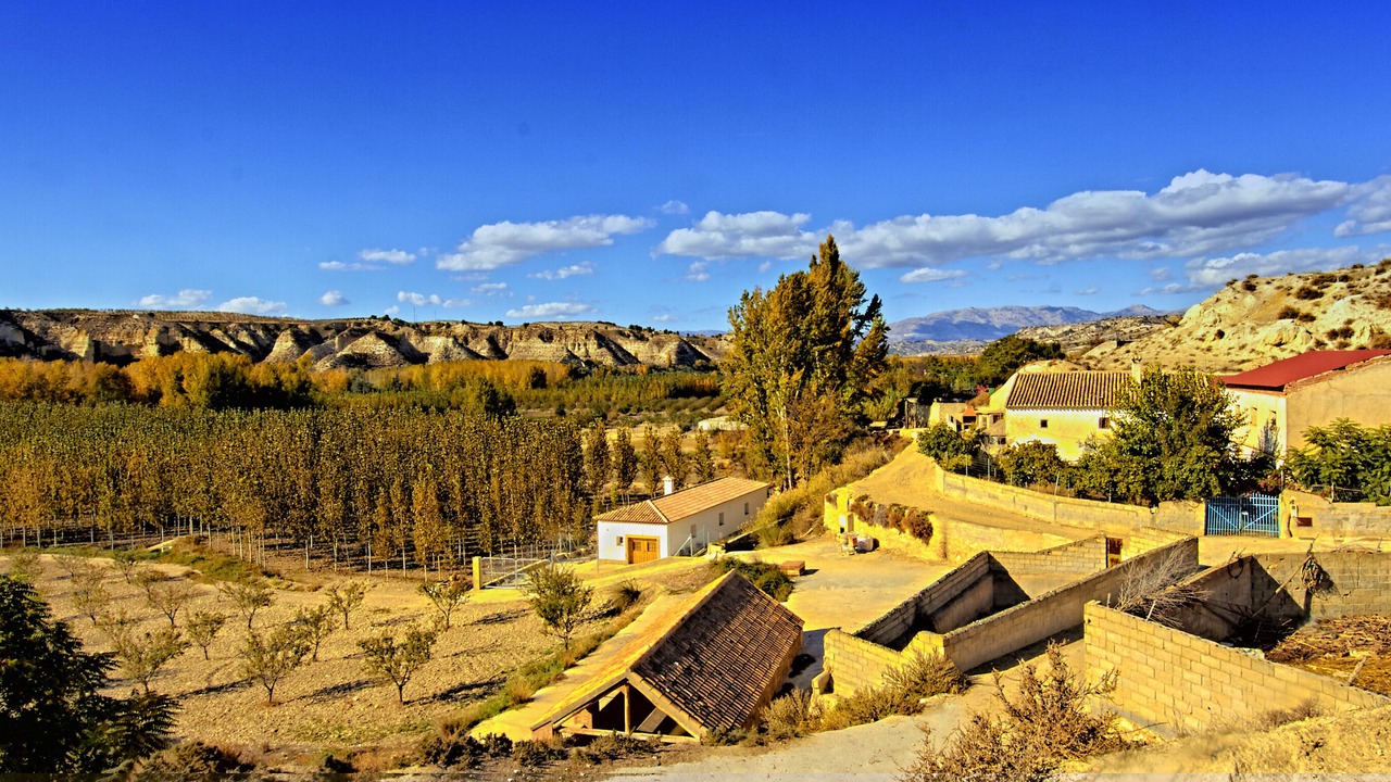 Photo of Others in Cortes de Baza
