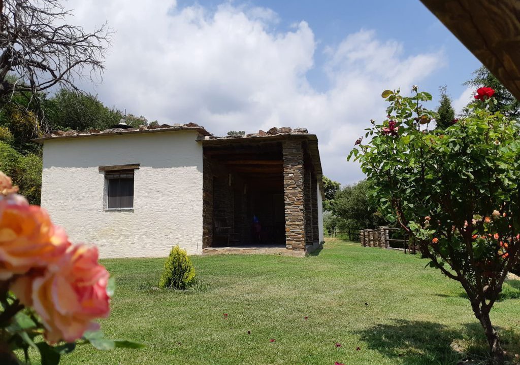 Photo of Outdoor in La Taha