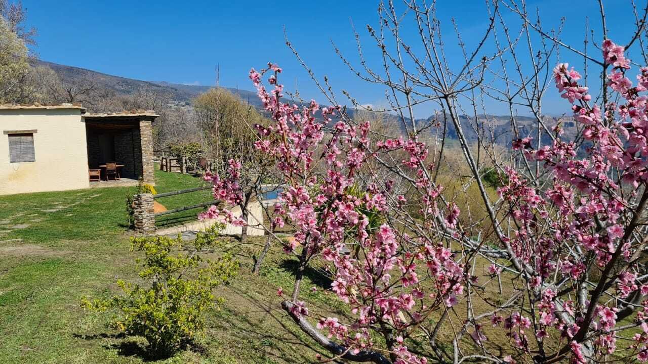Photo of Outdoor in La Taha