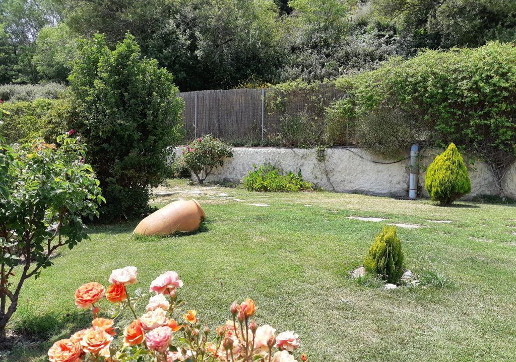 Photo of Outdoor in La Taha