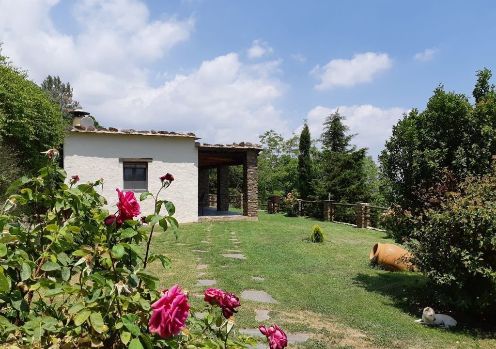 Photo of Outdoor in La Taha