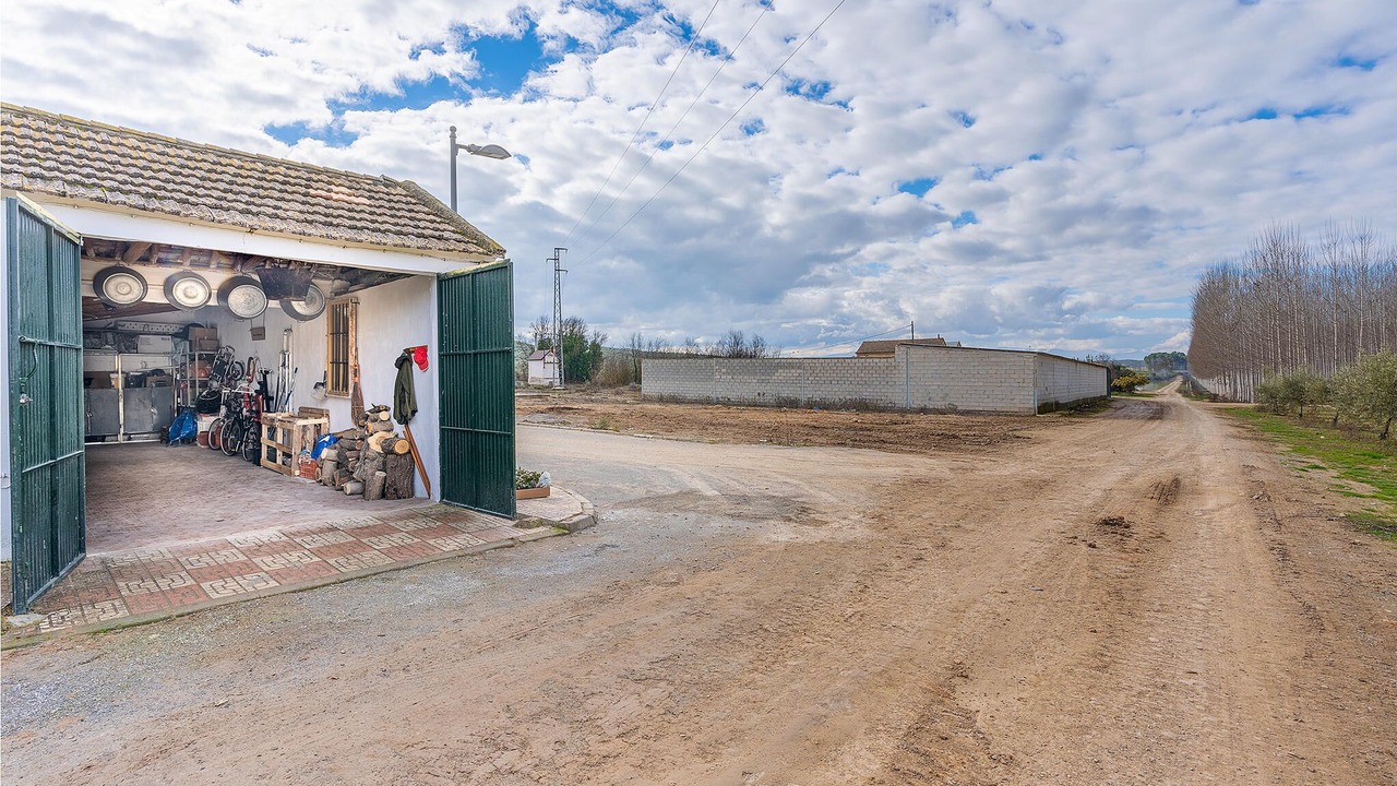 Photo of Others in Pinos Puente