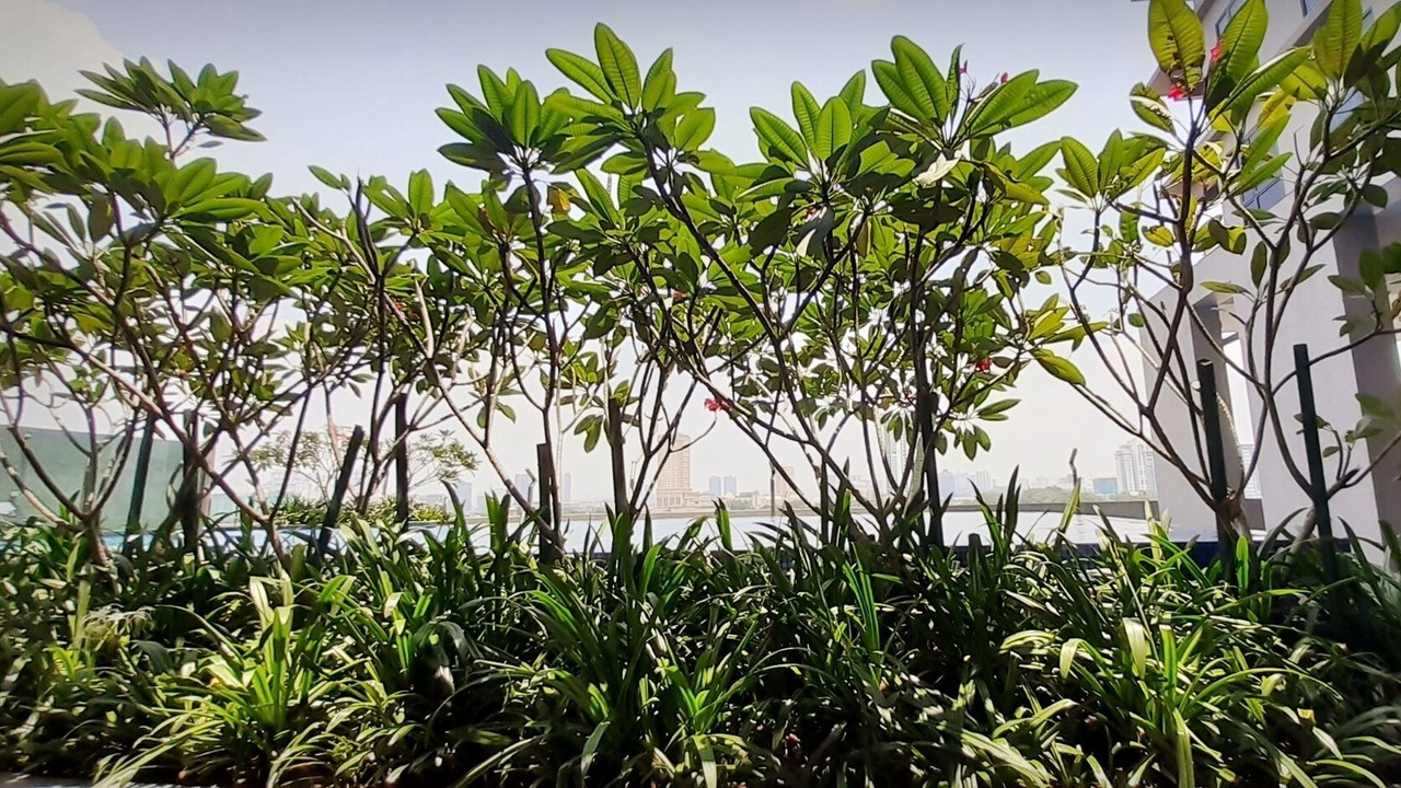 Photo of Outdoor in Subang Jaya