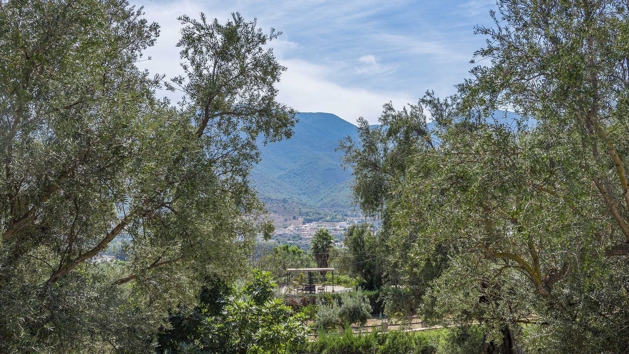 Photo of Outdoor in Orgiva
