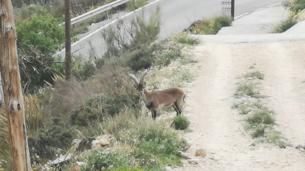 Photo of Outdoor in Lanjaron