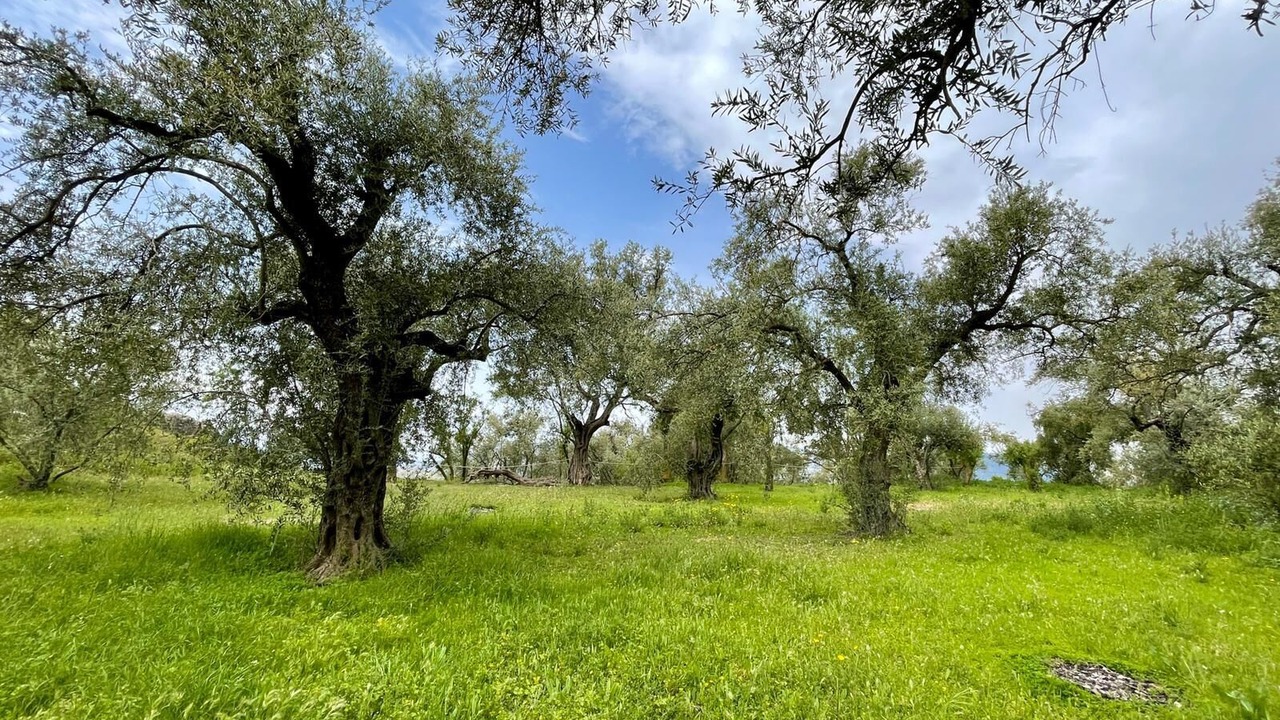 Photo of Outdoor in Lanjaron