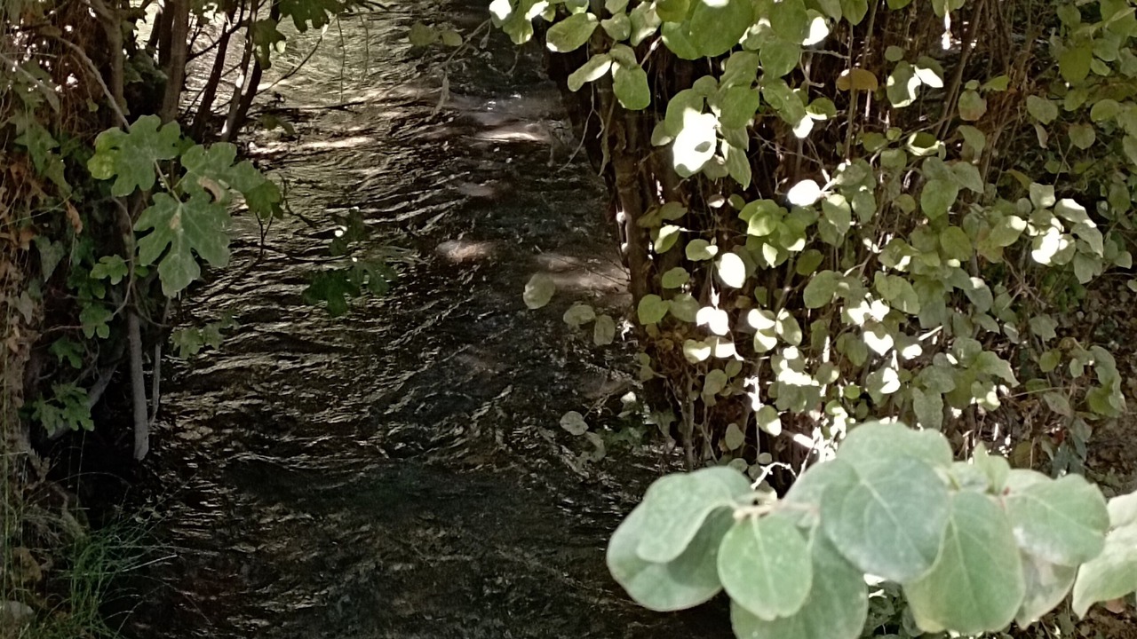 Photo of Outdoor in Monachil