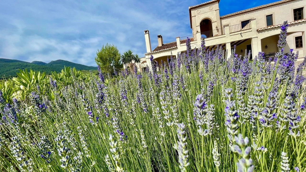 Photo of Outdoor in Albunuelas
