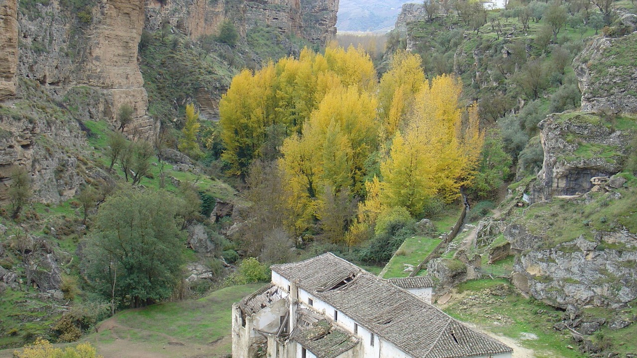 Photo of Others in Loja