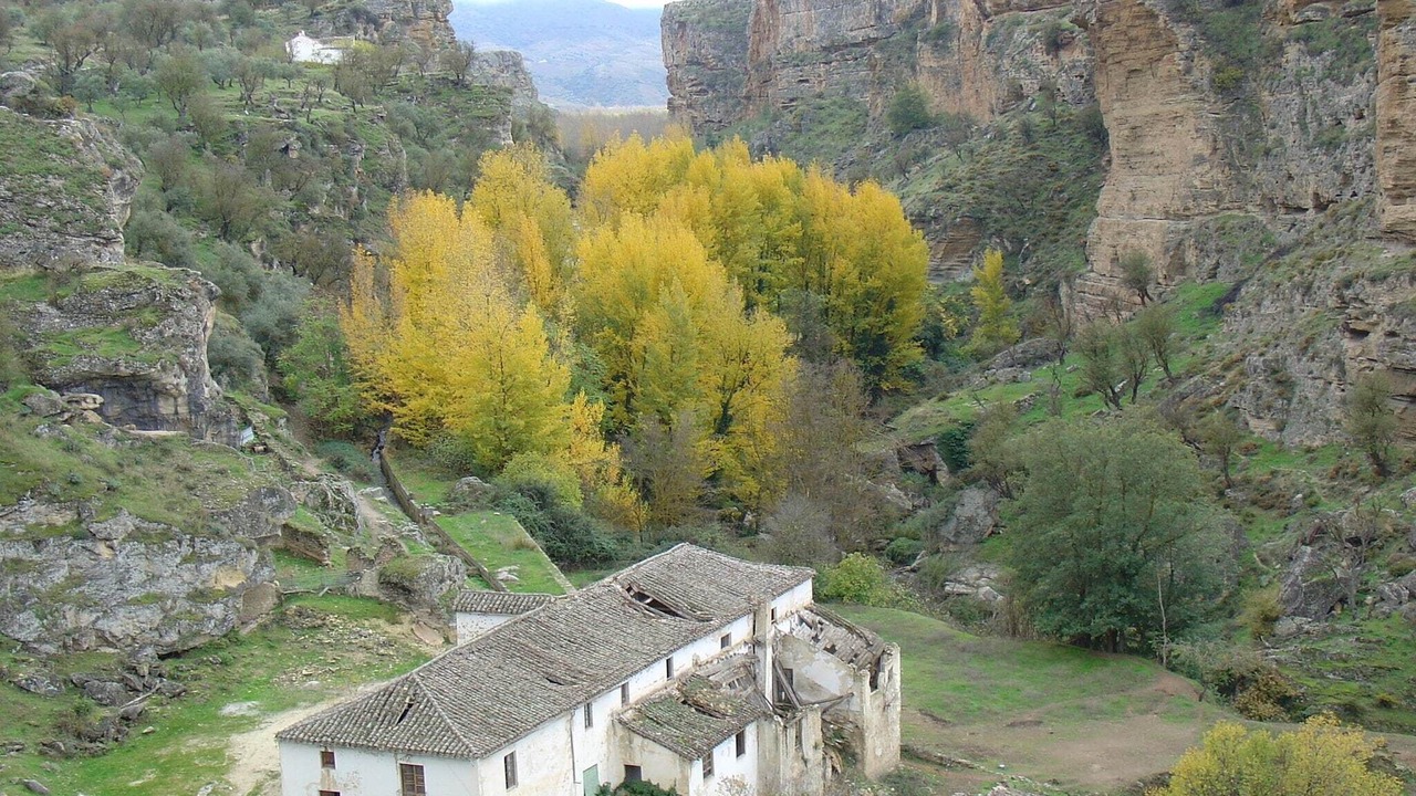 Photo of Outdoor in Loja