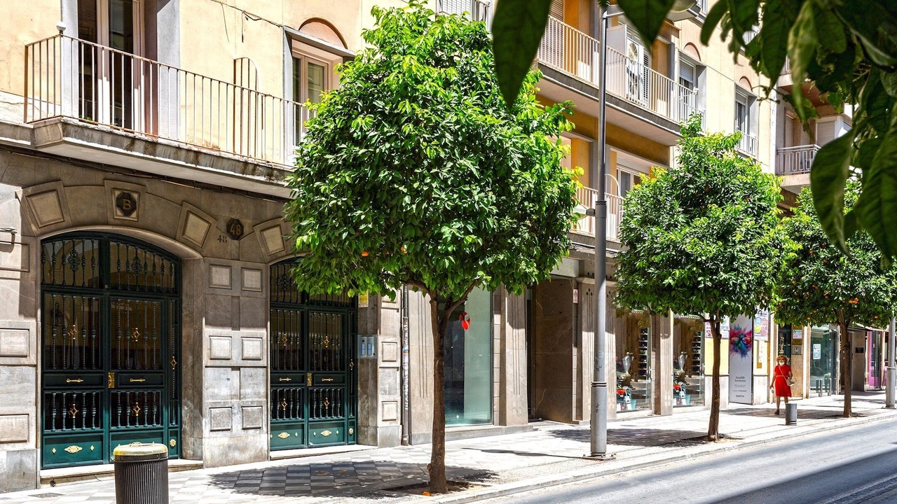 Photo of Outdoor in Granada City Center