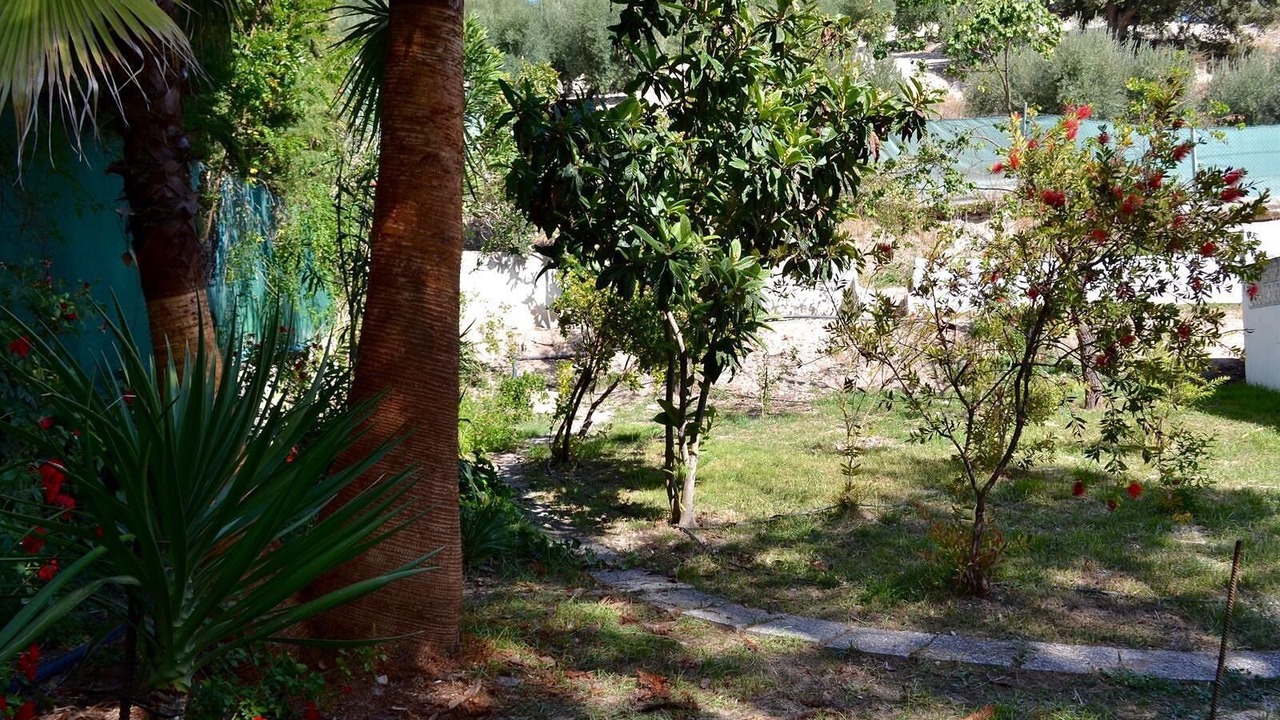 Photo of Outdoor in Algarinejo