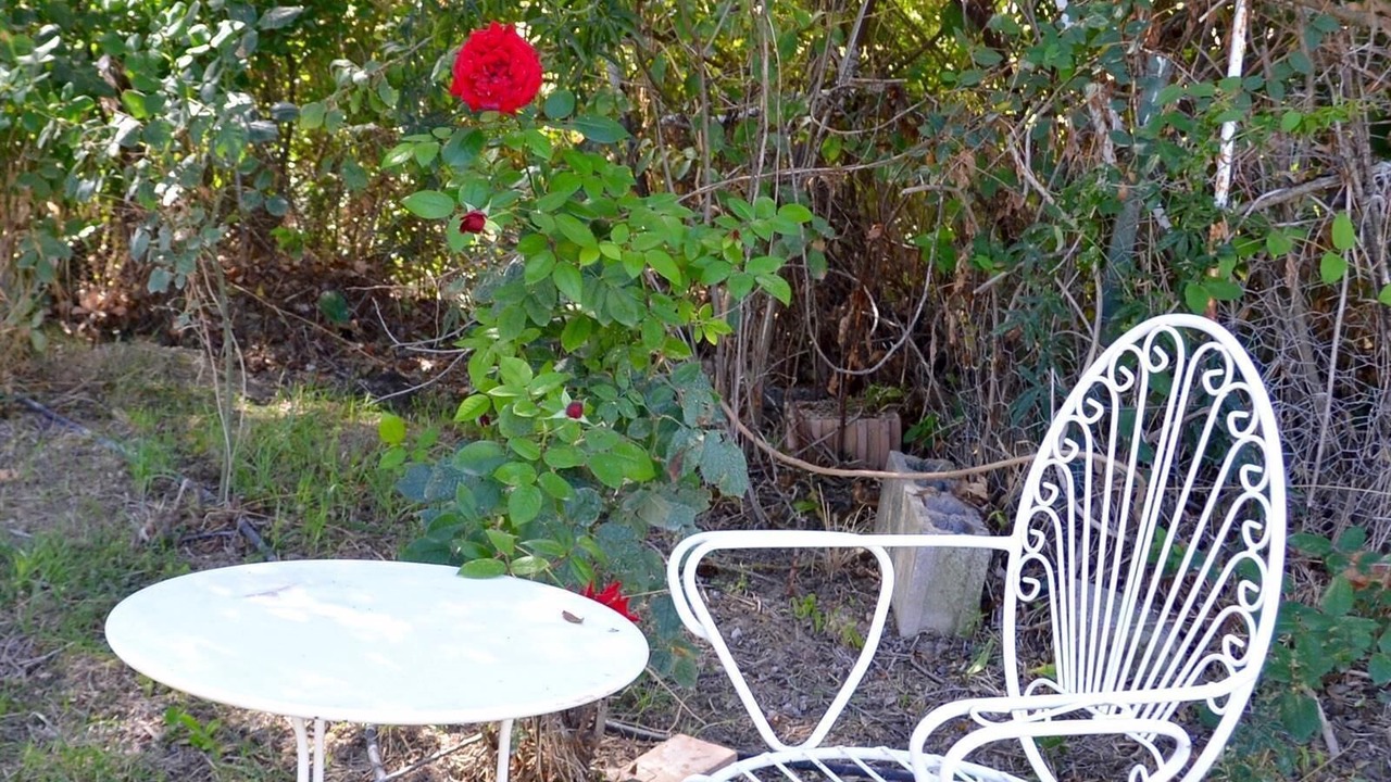 Photo of Outdoor in Algarinejo