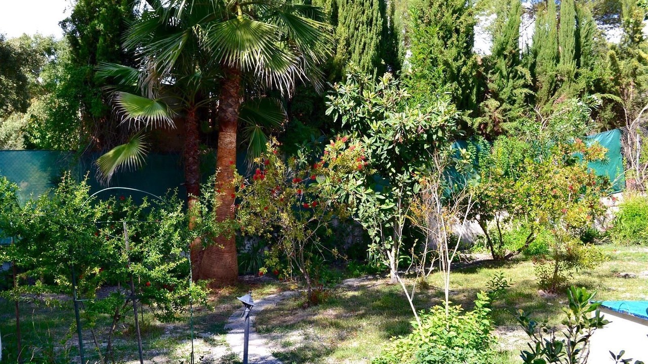 Photo of Outdoor in Algarinejo