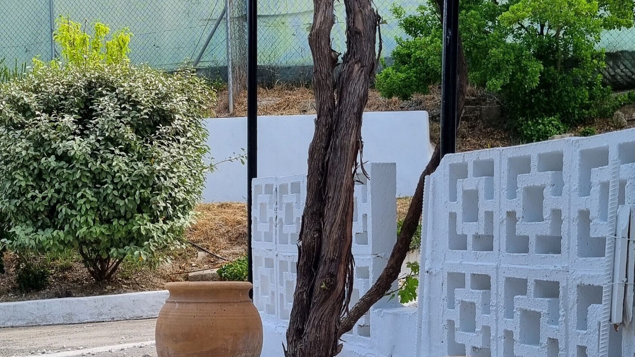 Photo of Outdoor in Algarinejo