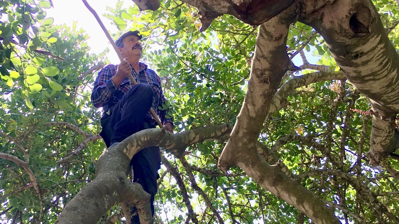 Photo of Outdoor in Almunecar