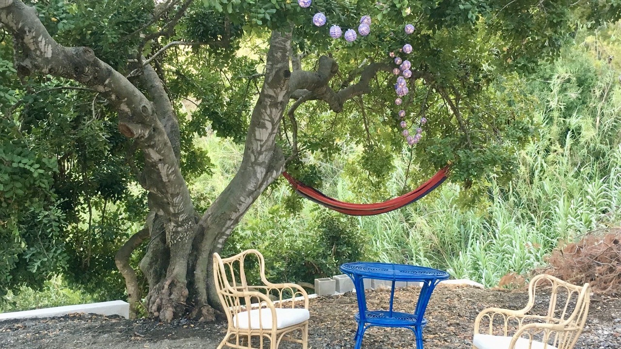 Photo of Outdoor in Almunecar