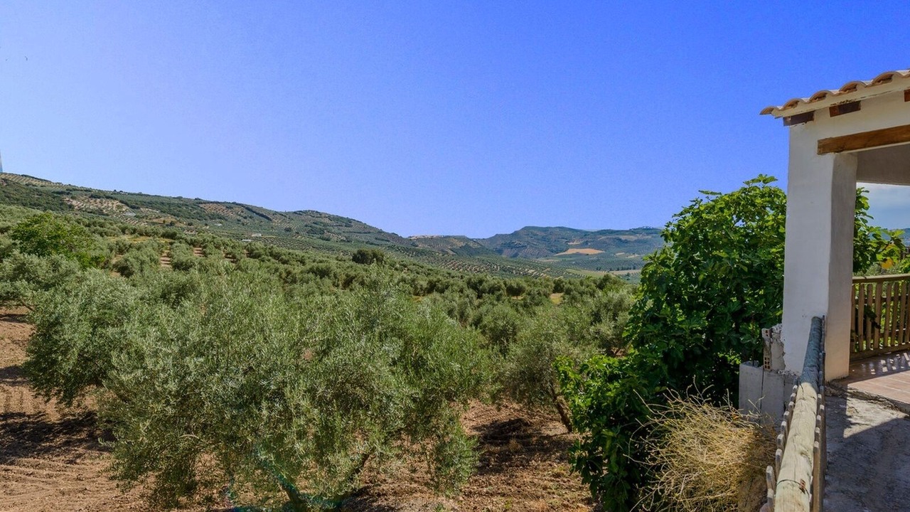 Photo of Outdoor in Montefrio
