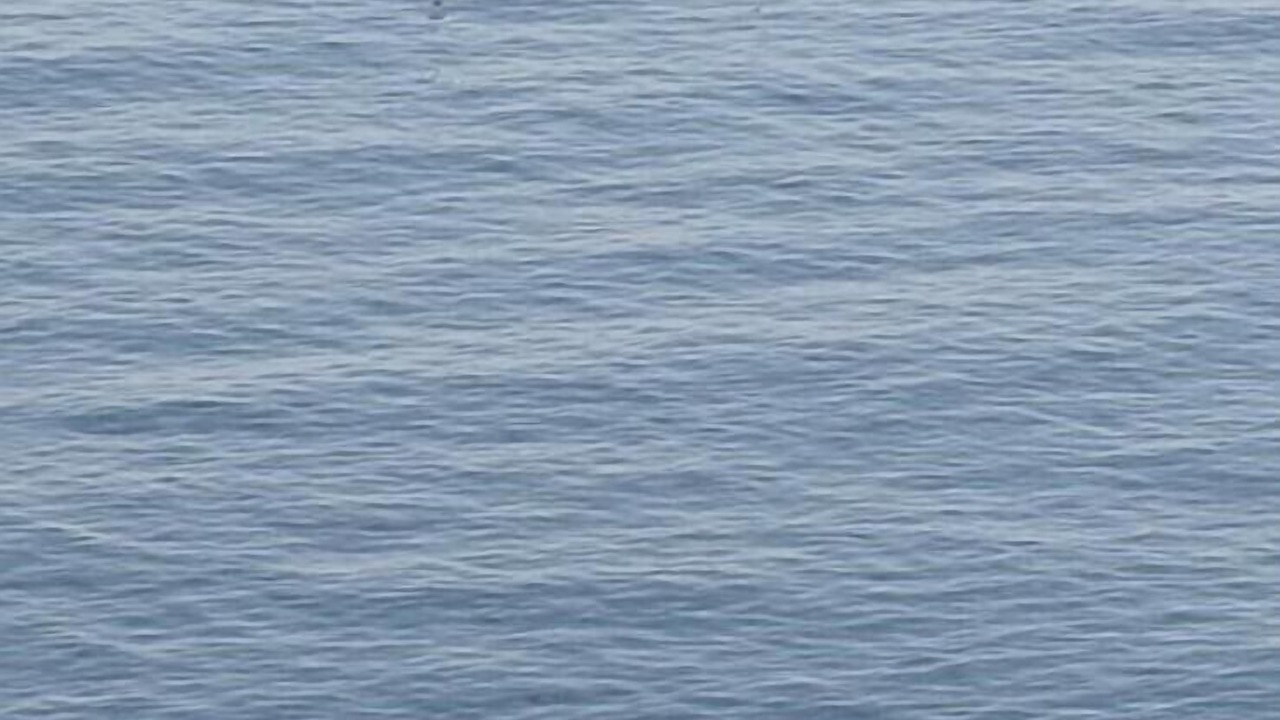 Photo of Others in Salobrena