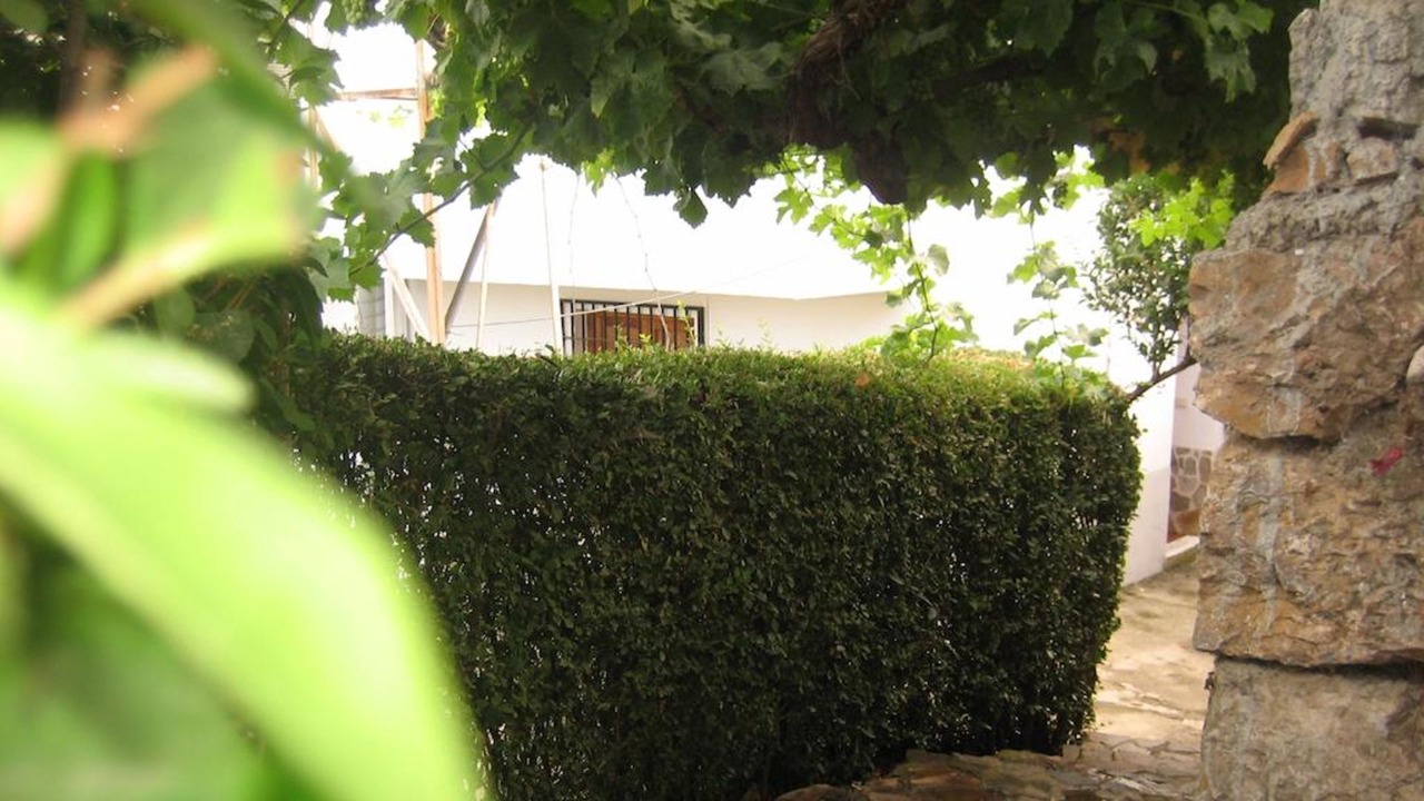 Photo of Outdoor in Mecina Bombaron